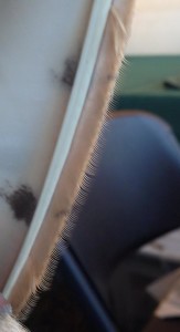feathers