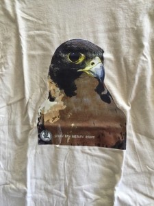 Peregrine - TAN